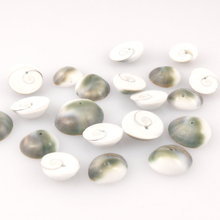 Perlmutt Perlen 10 St. Muschelperlen 18mm weiß grün-braun Bastelperlen -1457