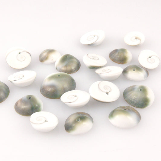 Perlmutt Perlen 10 St. Muschelperlen 18mm weiß grün-braun Bastelperlen -1457
