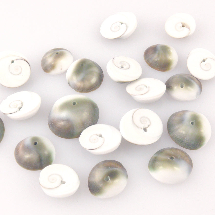 Perlmutt Perlen 10 St. Muschelperlen 18mm weiß grün-braun Bastelperlen -1457