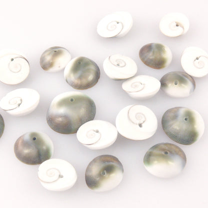 Perlmutt Perlen 10 St. Muschelperlen 18mm weiß grün-braun Bastelperlen -1457